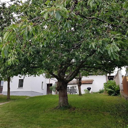 Maisonette Im Hof Krupp Bruchhausen  エクステリア 写真