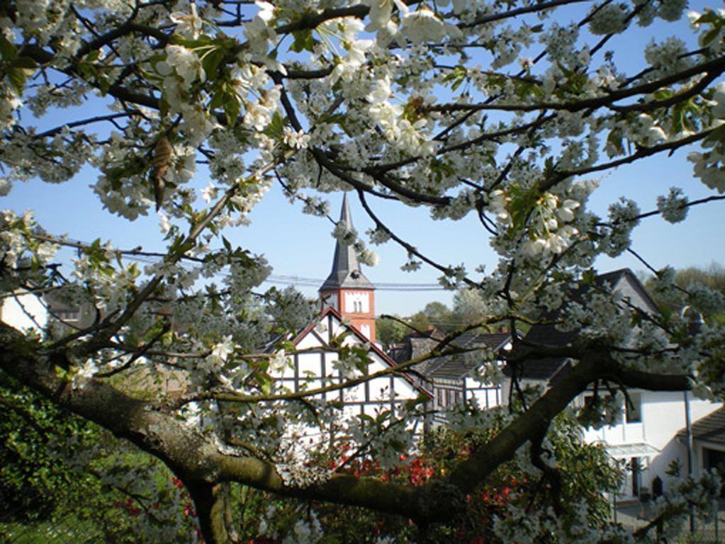 Maisonette Im Hof Krupp Bruchhausen  エクステリア 写真
